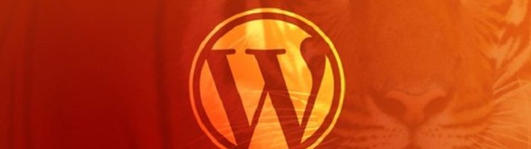 What is WordPress