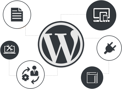 Hire WordPress Developer